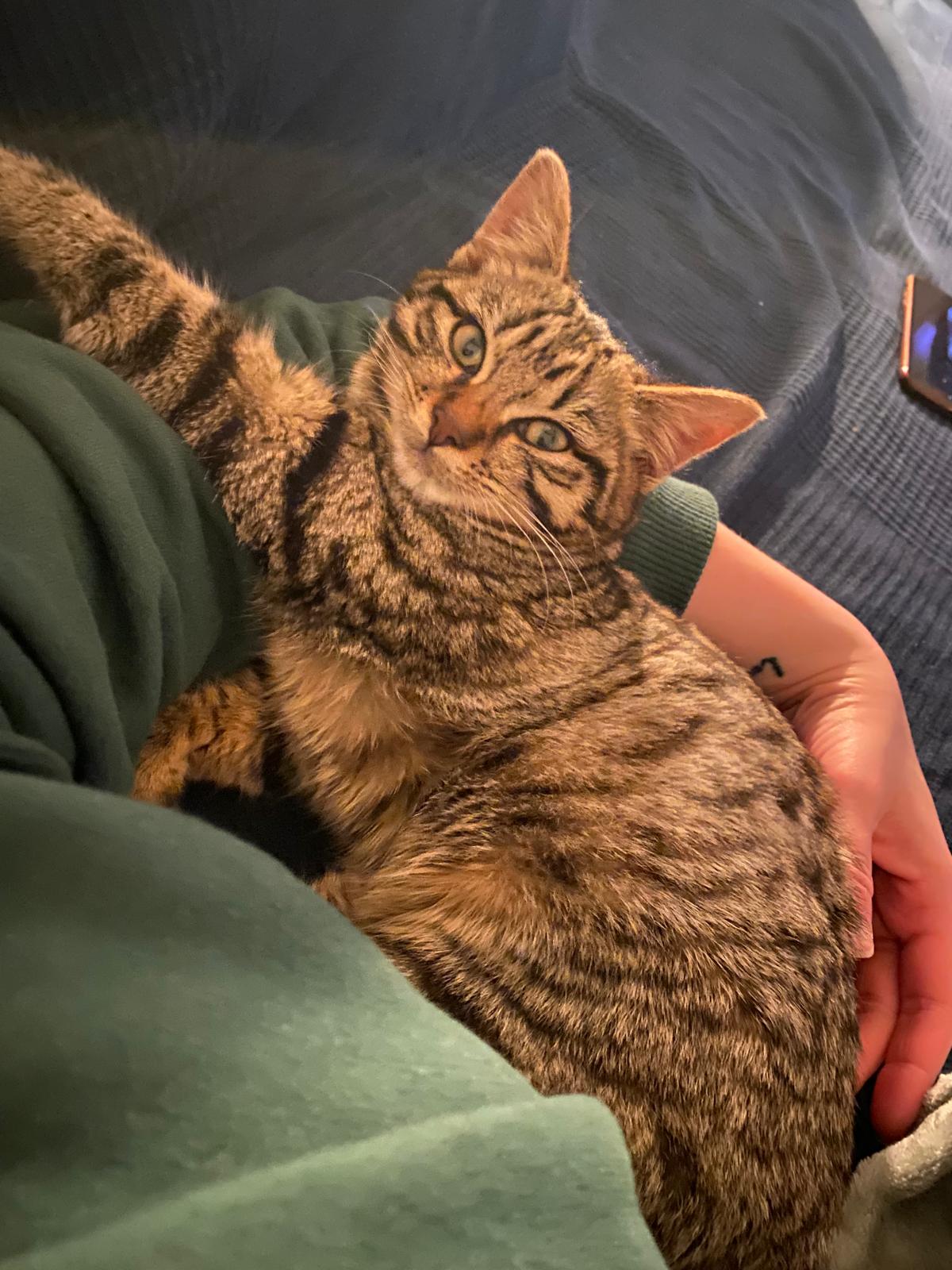 Mes amis les animaux16