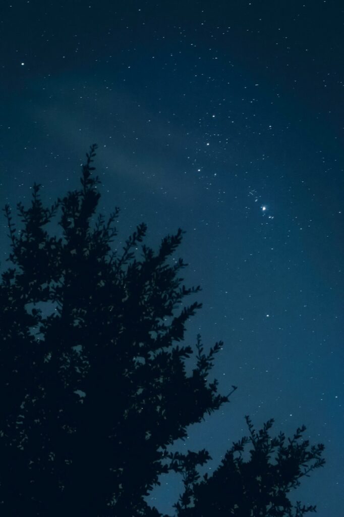 Ciel nocturne étoilé pendant la période du portail du 8/8